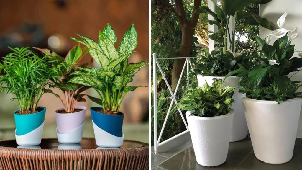 Self-Watering Pots: The Ultimate Guide to Effortless and Thriving Plants