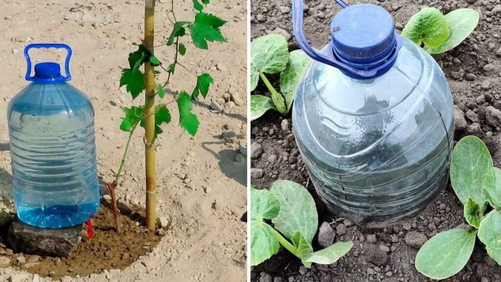 DIY Garden Dripper: How to Make a Simple and Efficient Drip Irrigation System