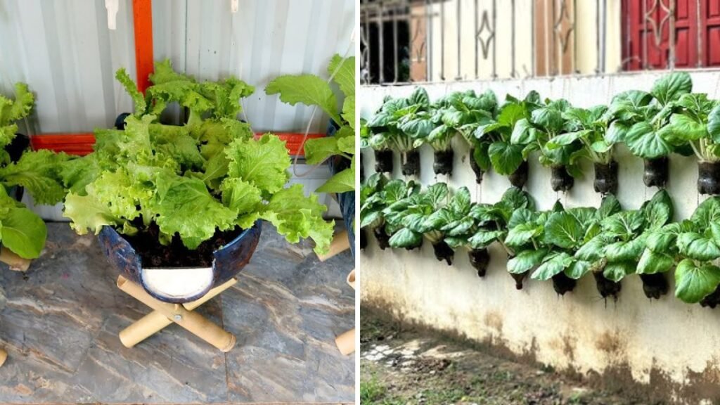 Gardening on a Budget: How to Create a Productive Vegetable Garden Using Plastic Bottles and Recycled Materials