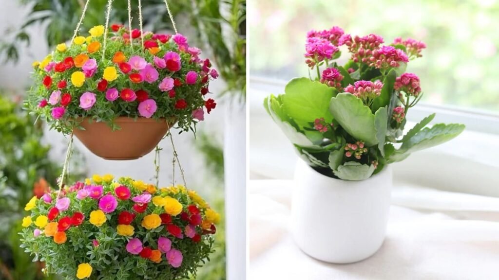 Easy Way to Grow Any Flower Branches at Home: A Complete Guide for Beginners