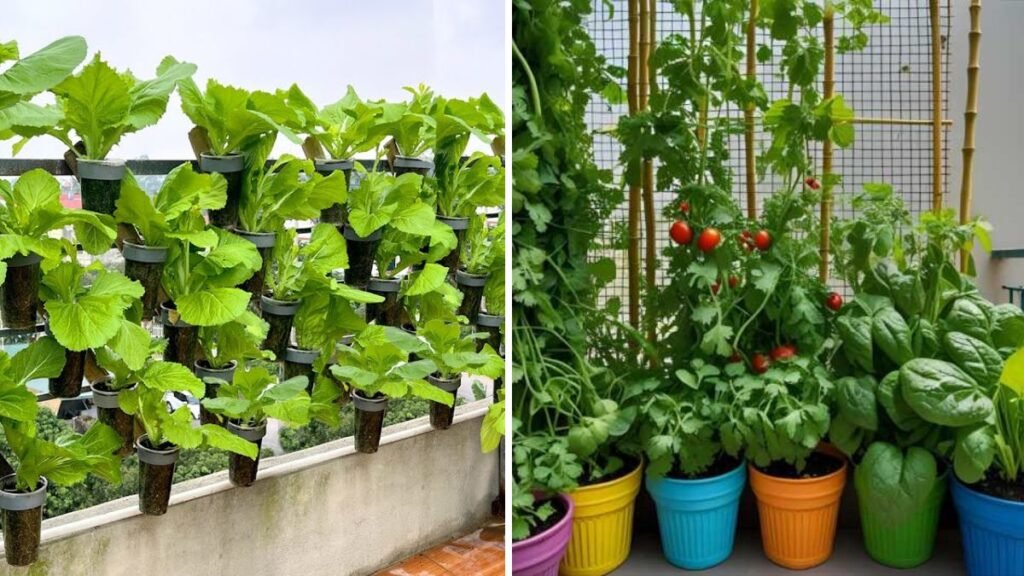 Growing Vegetables on Your Balcony: The Brilliant Idea You’ll Wish You Tried Sooner!